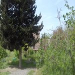Satılır Torpaq, Buzovna, Xəzər rayonu 7