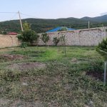 Kirayə (günlük) 3 otaqlı Bağ evi Xızı 11