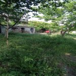 Satılır 4 otaqlı Bağ evi Mingəçevir 5