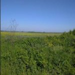 Satılır Torpaq Xızı 5