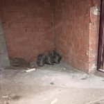 Satılır 1 otaqlı Yeni Tikili Xırdalan 5