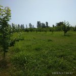 Satılır Torpaq Xaçmaz 1