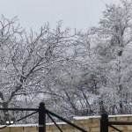 Kirayə (günlük) 3 otaqlı Həyət evi/villa Qusar 8