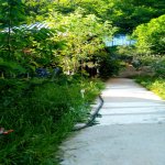 Kirayə (günlük) 4 otaqlı Həyət evi/villa Qusar 39