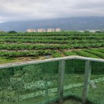 Satılır 2 otaqlı Xarici Əmlak 22