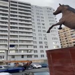 Продажа 3 комнатная Новостройка Хырдалан 1