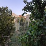 Satılır 6 otaqlı Həyət evi/villa, Saray, Abşeron rayonu 16