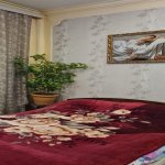 Satılır 5 otaqlı Həyət evi/villa, Avtovağzal metrosu, Binəqədi qəs., Binəqədi rayonu 8