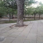 Satılır Torpaq, Nərimanov rayonu 4