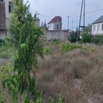 Satılır Torpaq, Novxanı, Abşeron rayonu 2