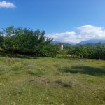 Satılır 2 otaqlı Bağ evi Qəbələ 2