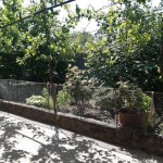 Satılır 6 otaqlı Həyət evi/villa İsmayıllı 5