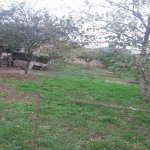 Satılır 4 otaqlı Bağ evi, Avtovağzal metrosu, Sulutəpə qəs., Binəqədi rayonu 3