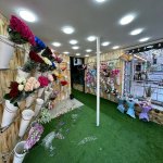 Kirayə (aylıq) Obyekt, Memar Əcəmi metrosu, 3-cü mikrorayon, Nəsimi rayonu 5