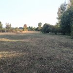 Продажа Участок Гябяля 3