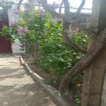 Satılır 4 otaqlı Həyət evi/villa, Binə qəs., Xəzər rayonu 23