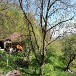 Satılır 3 otaqlı Həyət evi/villa İsmayıllı 2