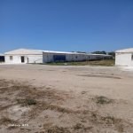 Satılır Torpaq, Buzovna, Xəzər rayonu 12