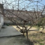Satılır 7 otaqlı Həyət evi/villa, Neftçilər metrosu, Bakıxanov qəs., Sabunçu rayonu 5