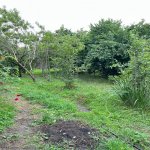Satılır 3 otaqlı Həyət evi/villa İsmayıllı 10