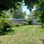 Kirayə (günlük) 3 otaqlı Həyət evi/villa Qəbələ 5