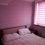 Kirayə (aylıq) 2 otaqlı Köhnə Tikili, 28 May metrosu, Nəsimi rayonu 11