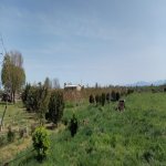 Продажа Участок Хачмаз 45