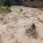 Satılır Torpaq, Novxanı, Abşeron rayonu 1