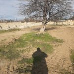 Satılır Torpaq, Goradil, Abşeron rayonu 4