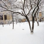 Kirayə (günlük) 4 otaqlı Həyət evi/villa Qusar 2