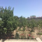 Kirayə (aylıq) 5 otaqlı Bağ evi, Novxanı, Abşeron rayonu 7