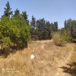 Satılır Torpaq, Mehdiabad, Abşeron rayonu 1