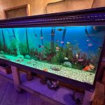 Продажа Объект, м. Нефтчиляр метро, Низаминский р-н район 4