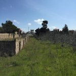 Satılır Torpaq, Bilgəh qəs., Sabunçu rayonu 5