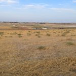 Продажа Участок, Сарай, Абшерон район 2