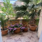 Satılır 14 otaqlı Həyət evi/villa, Gənclik metrosu, Nərimanov rayonu 9