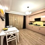 Продажа 3 комнатная Новостройка, м. Эльмляр Академиясы метро, Ясамал район 4