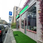 Kirayə (aylıq) Obyekt, Elmlər akademiyası metrosu, Yasamal rayonu 1
