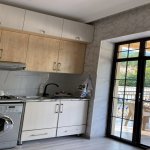 Kirayə (günlük) 3 otaqlı Bağ evi Lerik 5