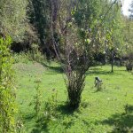 Продажа Участок Гябяля 3