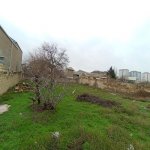 Satılır Torpaq, Masazır, Abşeron rayonu 4