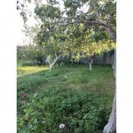 Kirayə (aylıq) 3 otaqlı Bağ evi İsmayıllı 16