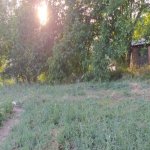 Satılır Torpaq Şamaxı 4