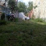 Kirayə (günlük) 4 otaqlı Həyət evi/villa Qəbələ 15