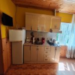 Kirayə (günlük) 3 otaqlı Bağ evi Qəbələ 14