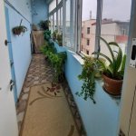 Satılır 2 otaqlı Yeni Tikili, Azadlıq metrosu, 7-ci mikrorayon, Binəqədi rayonu 10