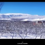 Kirayə (günlük) 4 otaqlı Bağ evi Quba 33