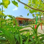 Kirayə (günlük) 4 otaqlı Həyət evi/villa İsmayıllı 8