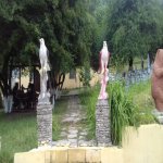 Satılır Obyekt Şamaxı 8