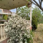 Kirayə (aylıq) 4 otaqlı Bağ evi, Goradil, Abşeron rayonu 19